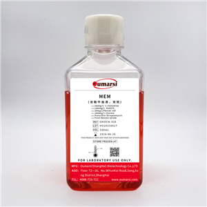 MEM (with FBS, Penicillin-Streptomycin)