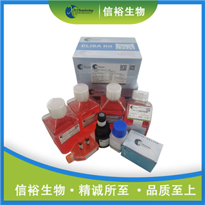 Rat Prkacb(cAMP-dependent protein kinase catalytic subunit beta) ELISA Kit